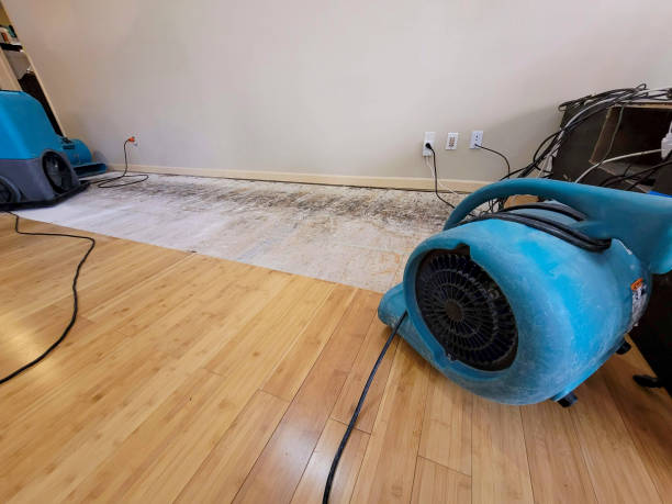 Professional Sewage Cleanup technician working in Mellenville, NY